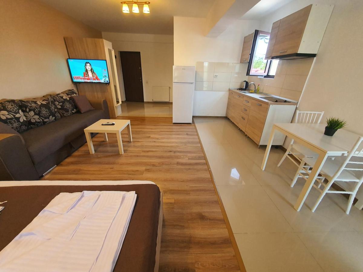 Villa Accommodation ブカレスト エクステリア 写真