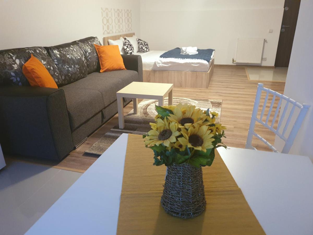 Villa Accommodation ブカレスト エクステリア 写真