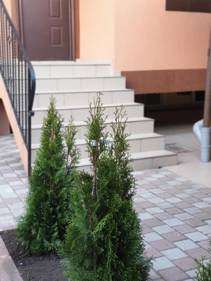 Villa Accommodation ブカレスト エクステリア 写真