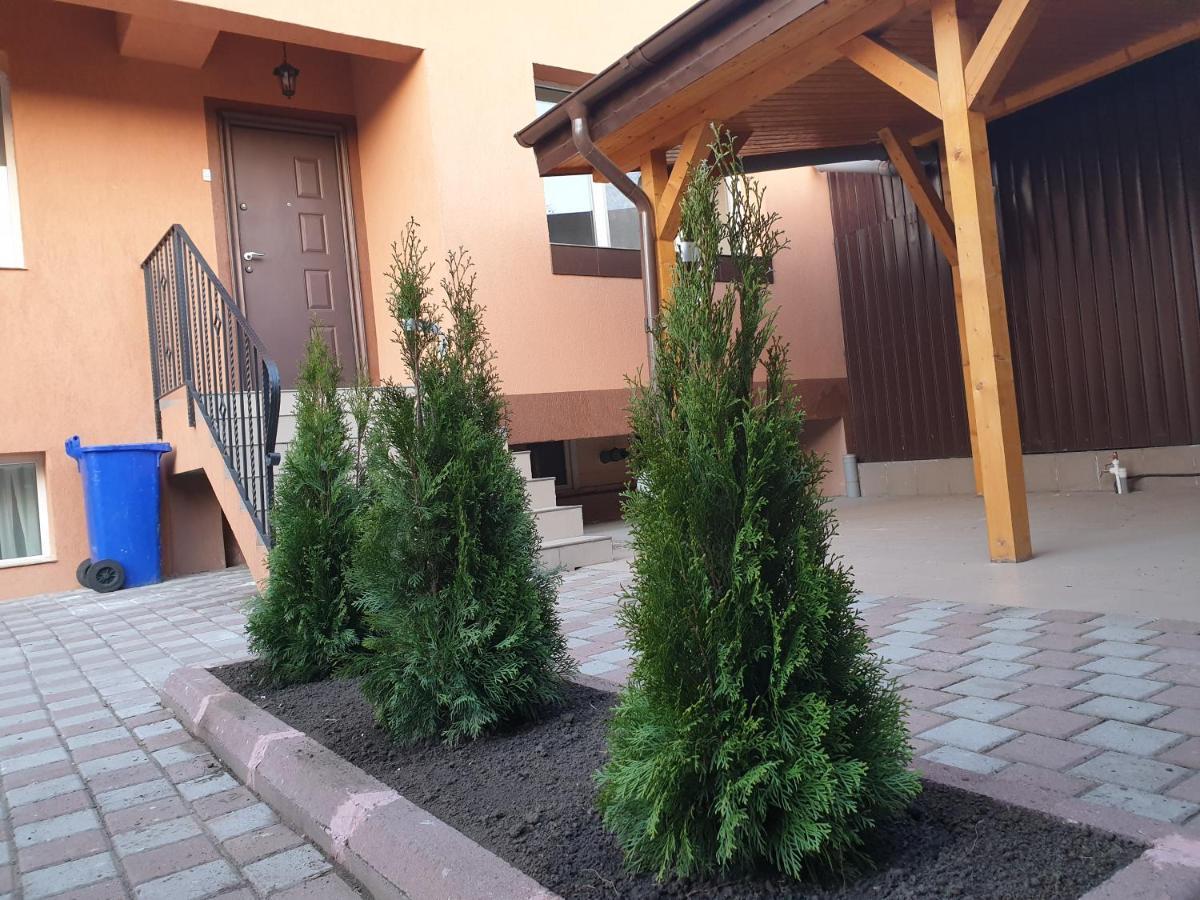 Villa Accommodation ブカレスト エクステリア 写真